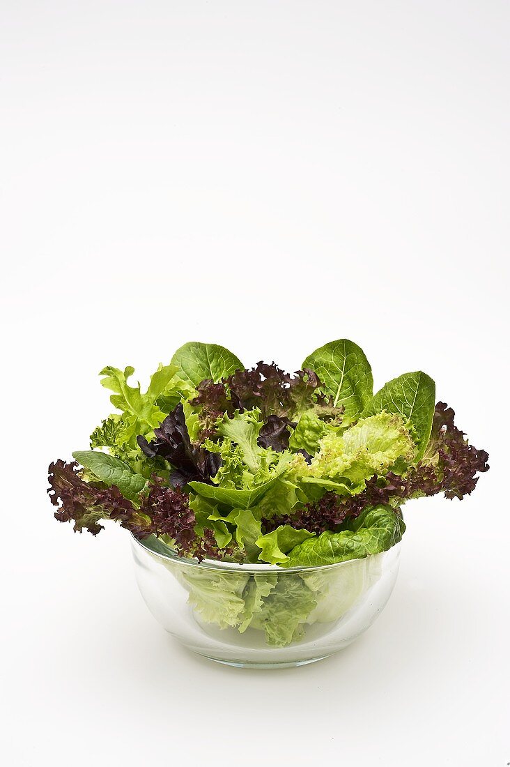 Various lettuce leaves in glass bowl