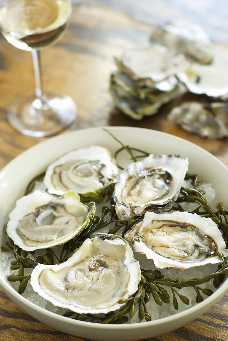 Fresh oysters with seaweed in bowl, glass of white wine