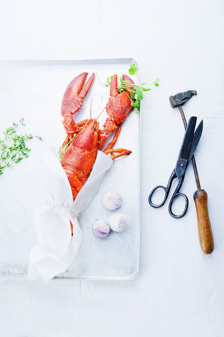 Cooked lobster, garlic, hammer and scissors