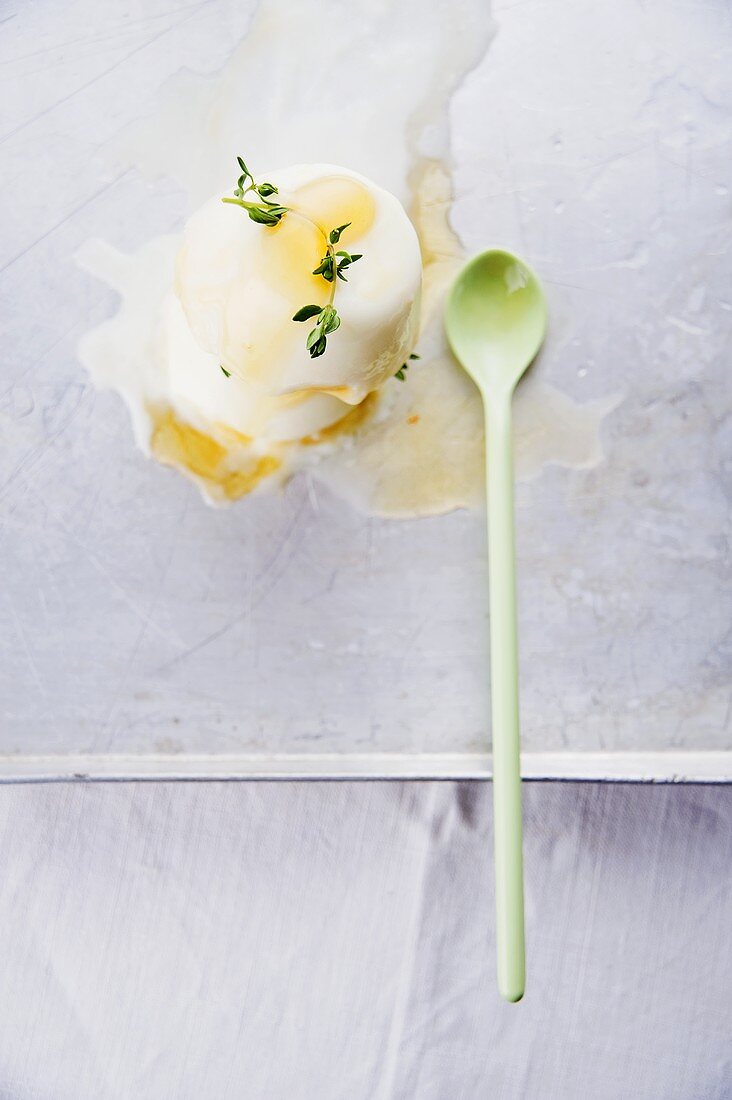 Frozen Joghurt mit Thymianhonig und Thymian