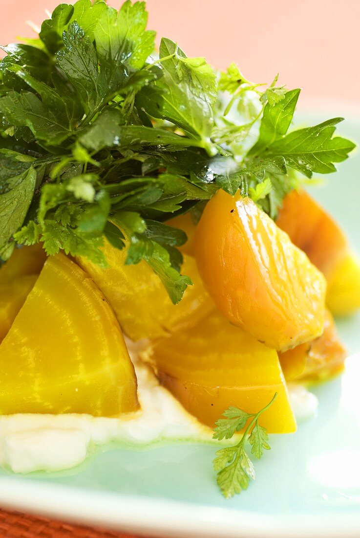 Golden beetroot with parsley on soft cheese