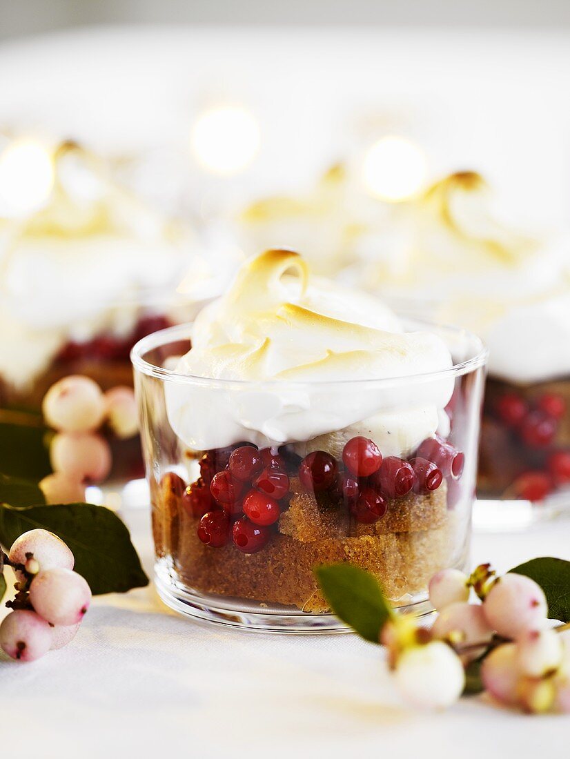 Gewürzkuchen mit Preiselbeeren, Eis und Baiser zu Weihnachten