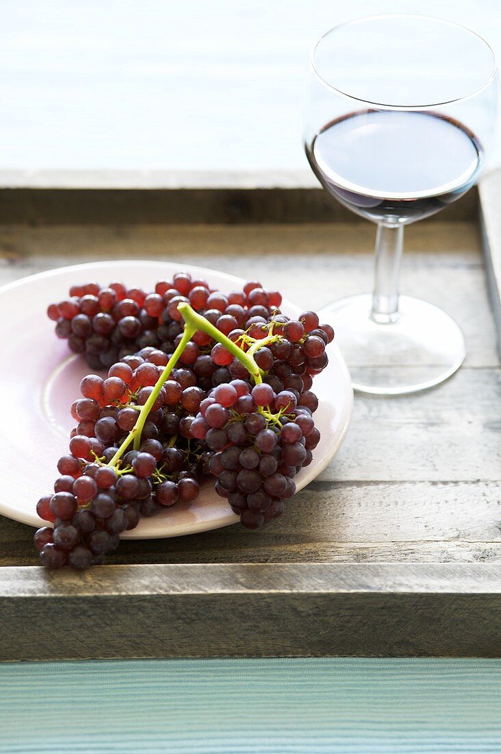 Blaue Weintrauben und ein Glas Rotwein auf einem Tablett