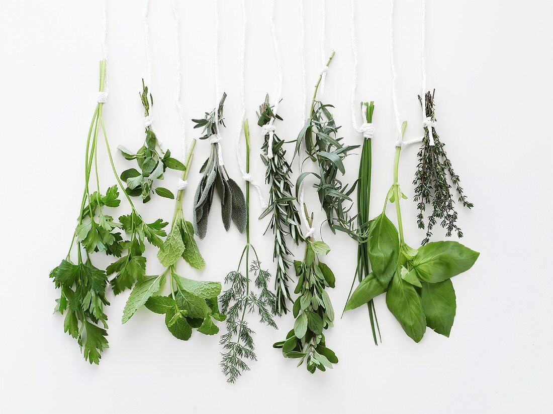 Various fresh herbs hanging up