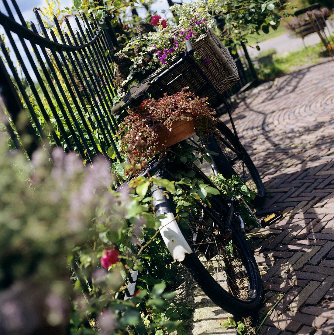 Altes Fahrrad als Blumenständer