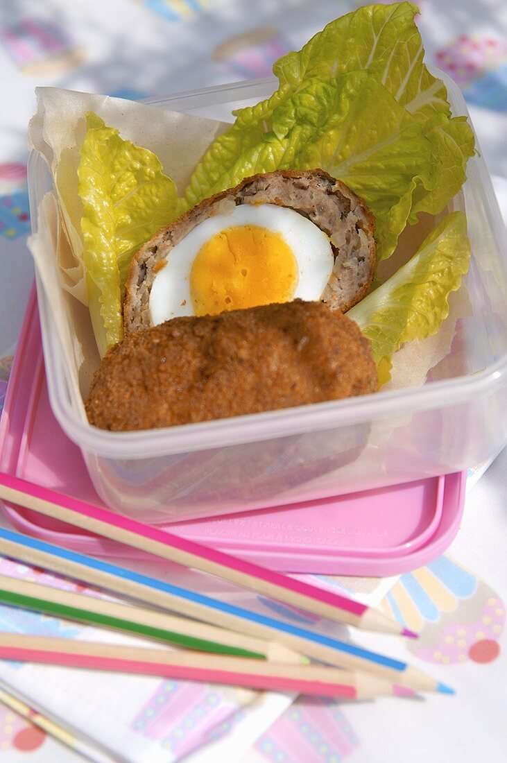 Scotch egg (Deep-fried boiled egg in sausagemeat, UK)