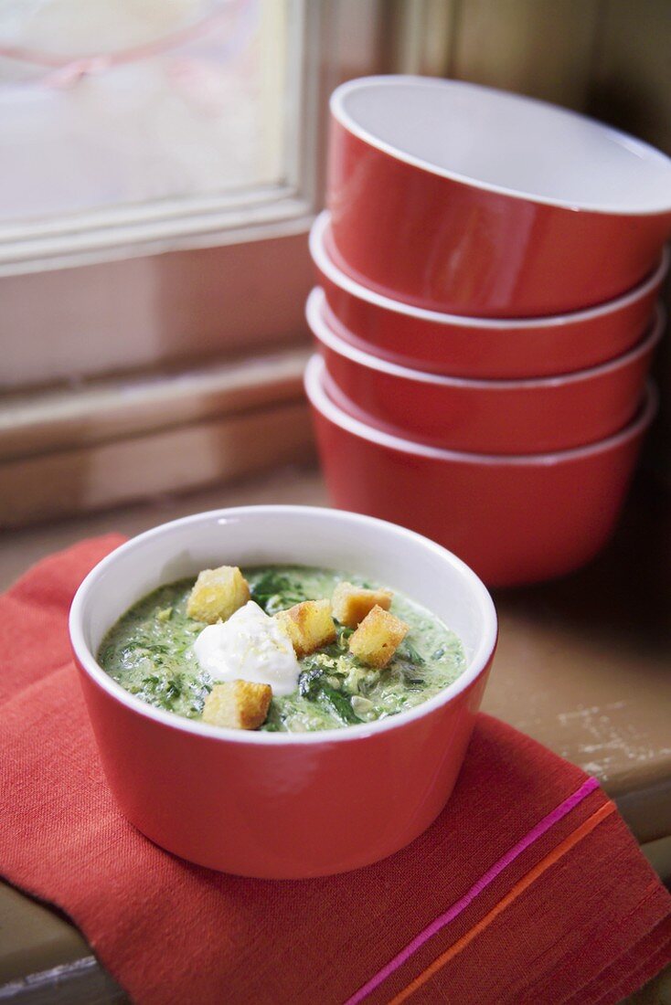 Spinach soup with nutmeg, yoghurt and croutons