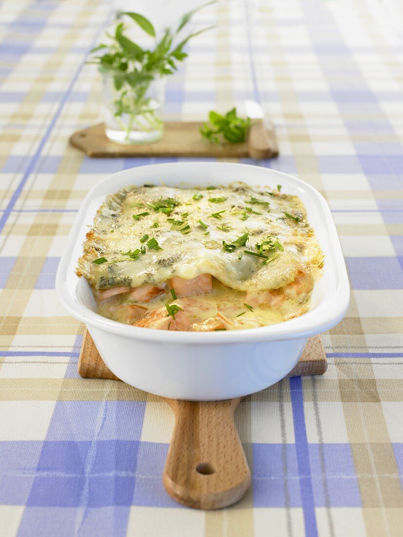 Salmon lasagne