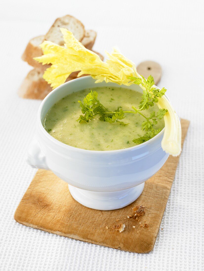 French herb soup