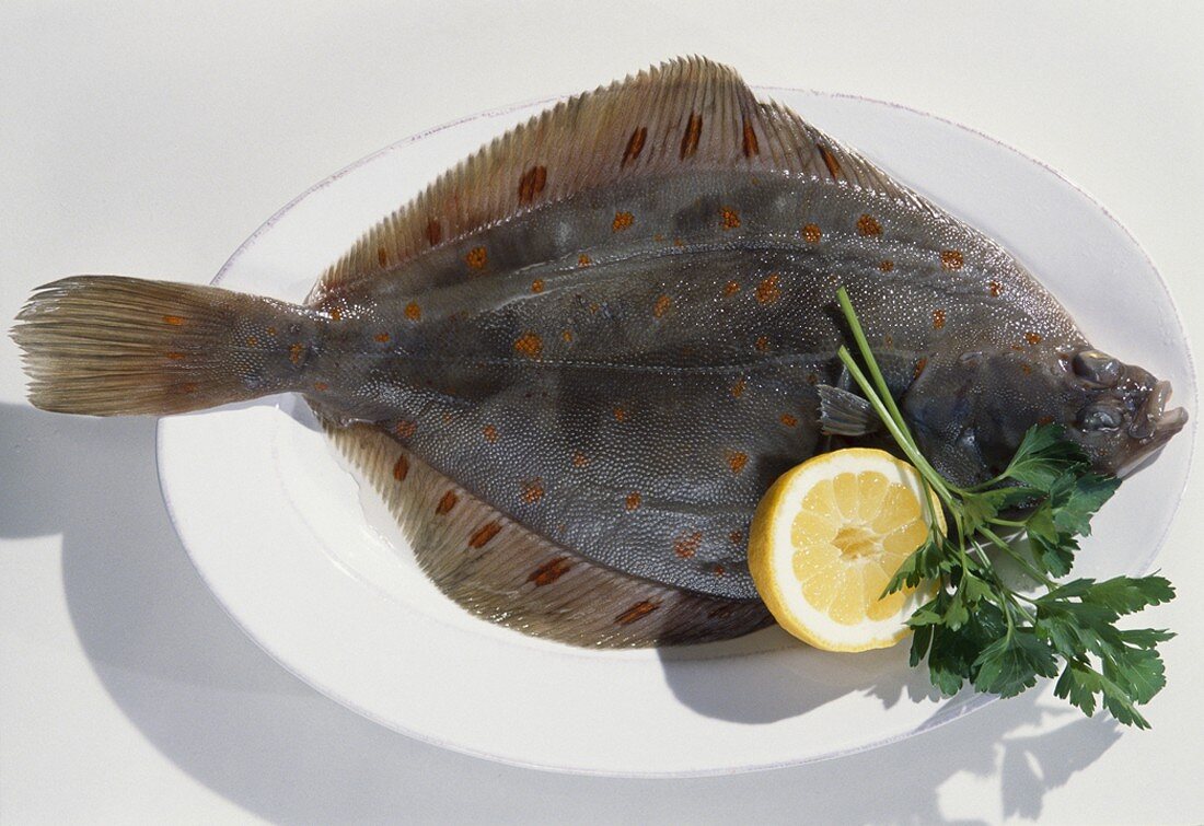 A plaice with lemon and parsley