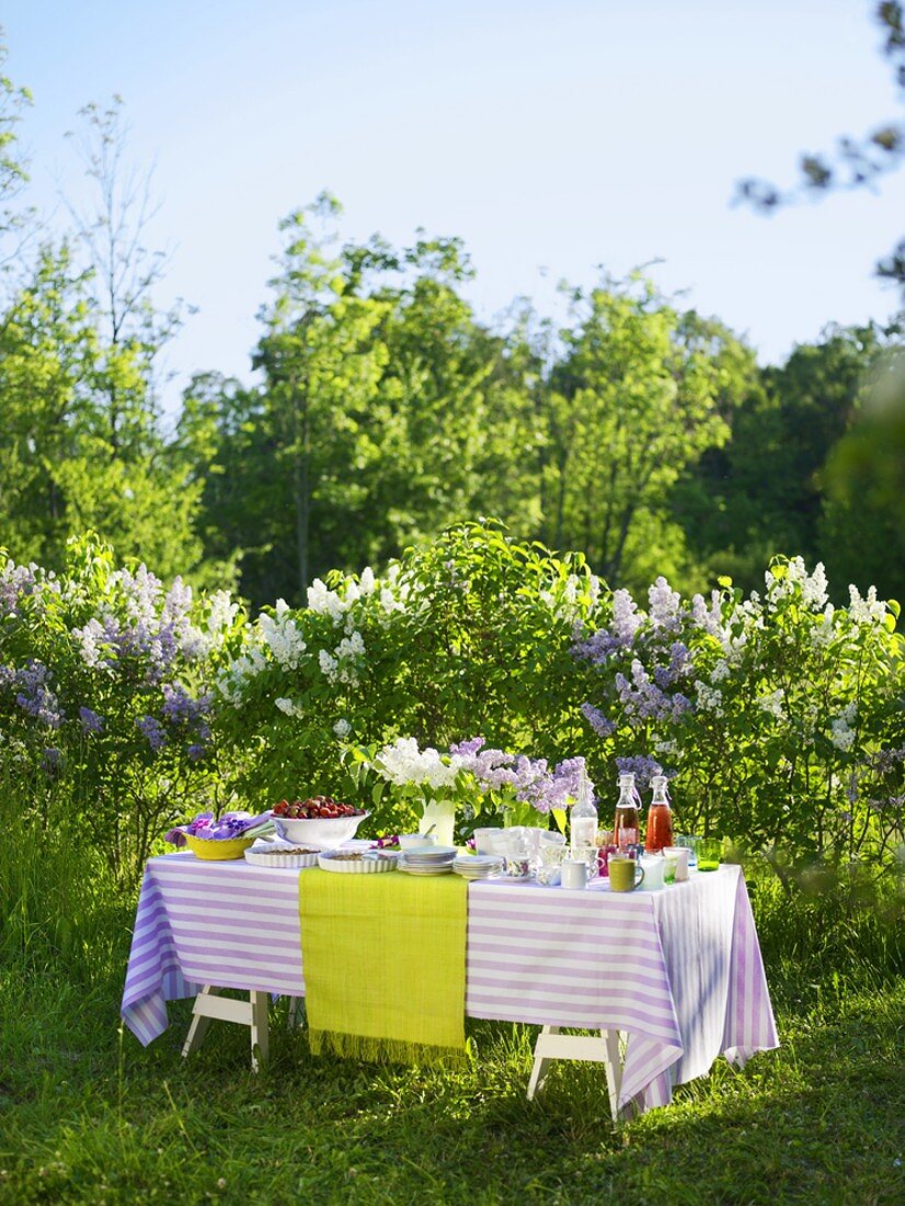 Gedeckter Tisch vor Fliedersträuchern im Garten