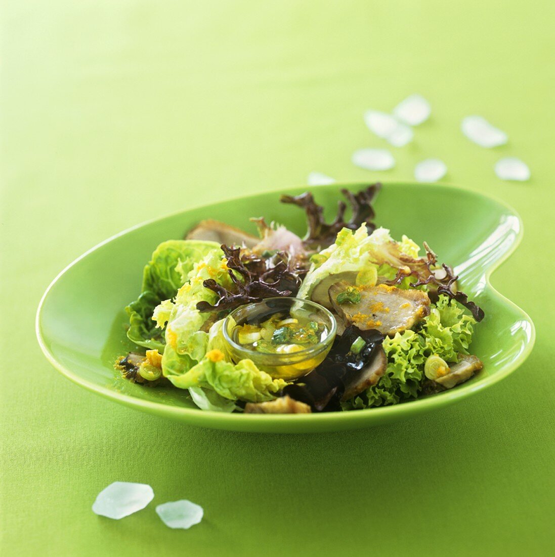 Blattsalat mit gebratener Entenbrust und Orangendressing
