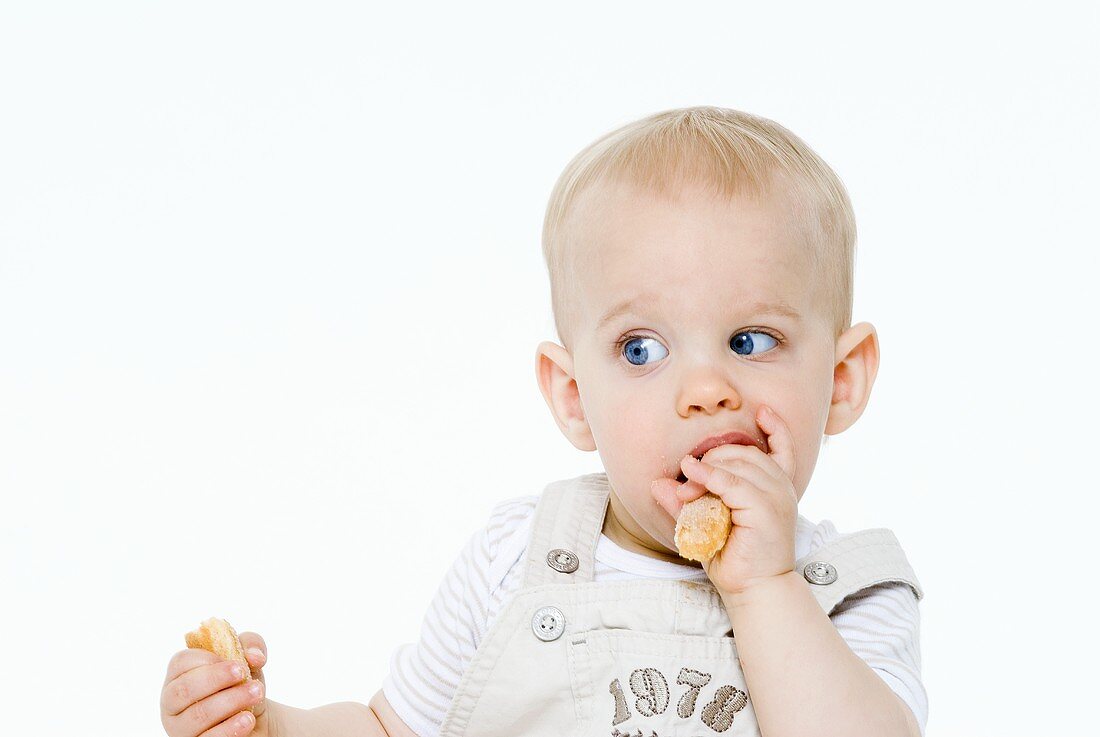 Kleiner Junge isst Löffelbiskuit