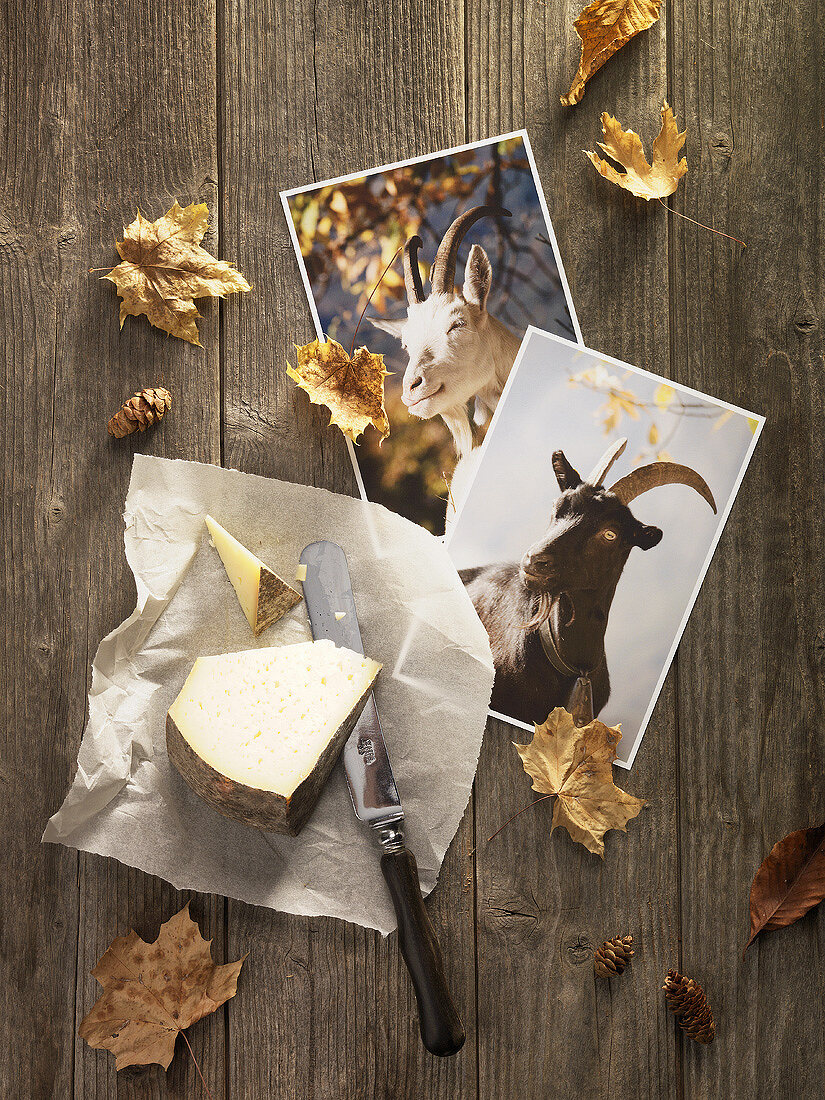 Stillleben mit Käse, Postkarten und Blättern (Maggiatal, Schweiz)