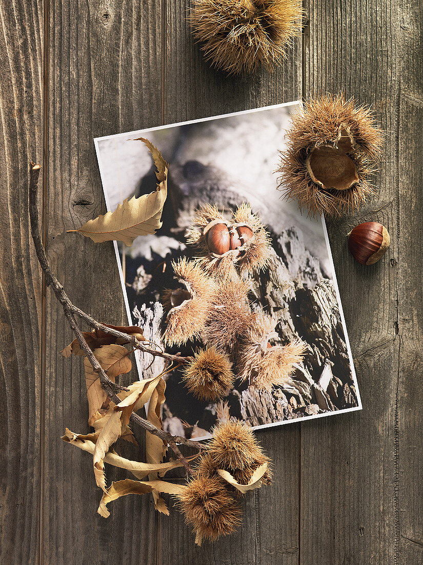 Chestnuts and postcard on wooden background