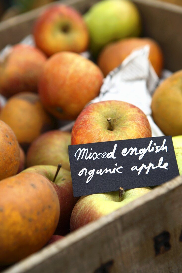 Mixed English organic apples