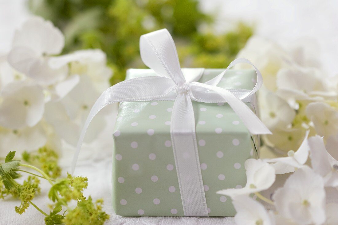 Parcel among hydrangeas and lady's mantle