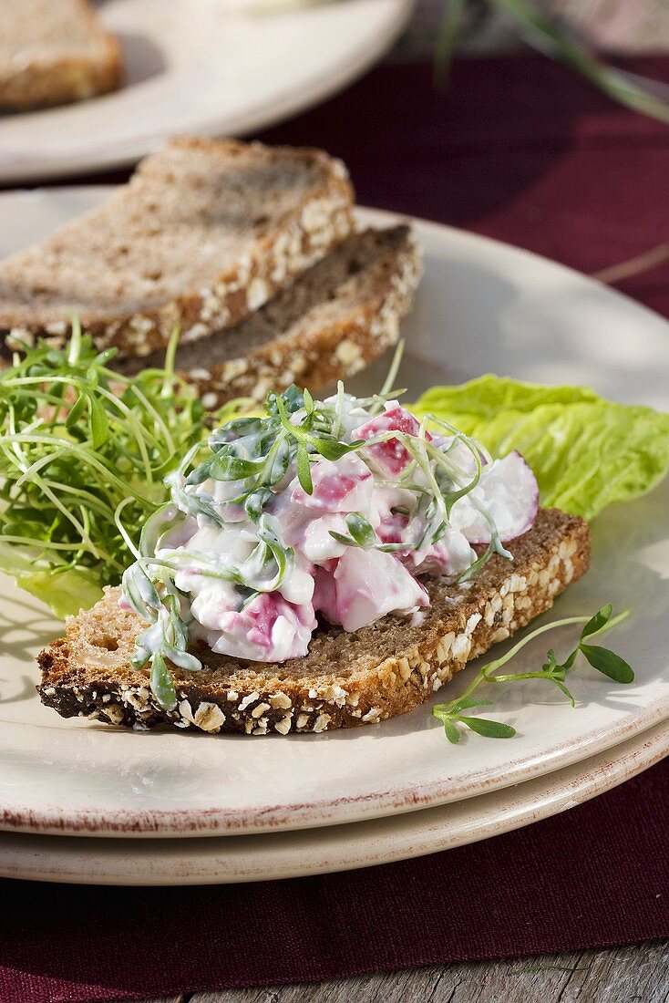 Brot mit Radieschenquark