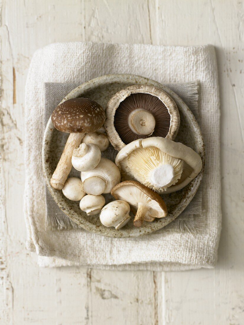 Assorted mushrooms in a dish