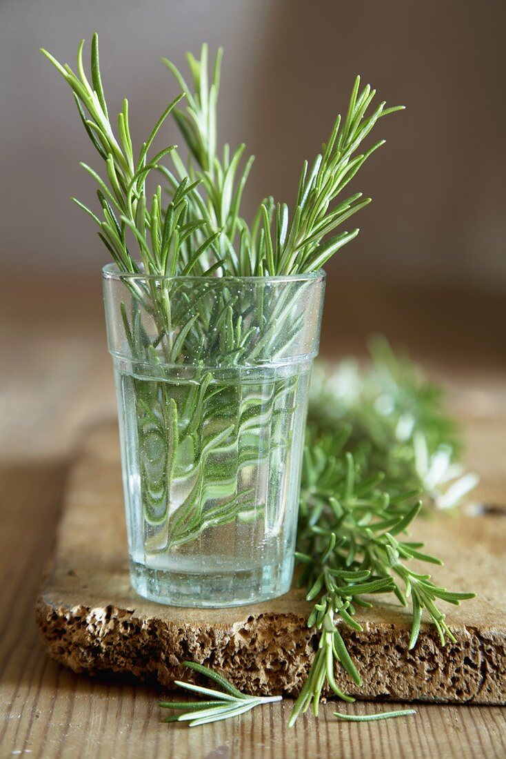 Rosmarin in einem Glas mit Wasser