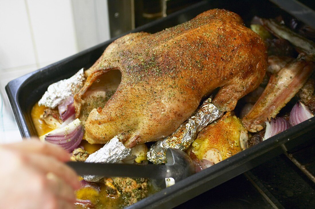 Roast goose in a roasting tin