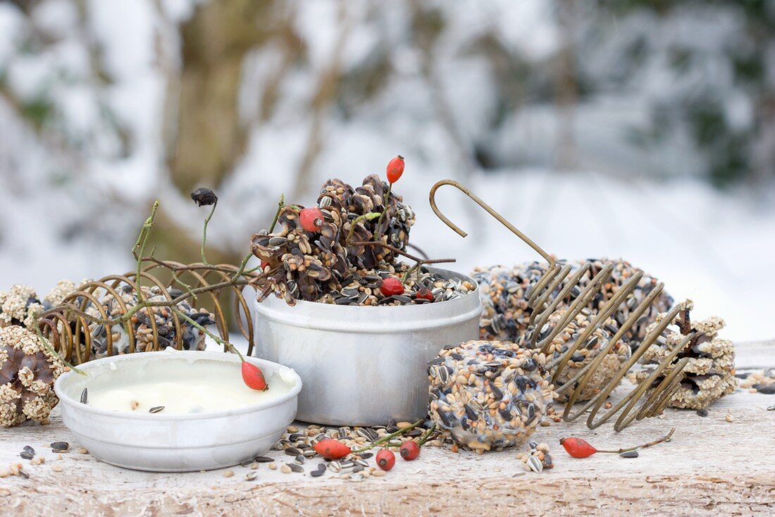 Bird food, palm fat and rose hips