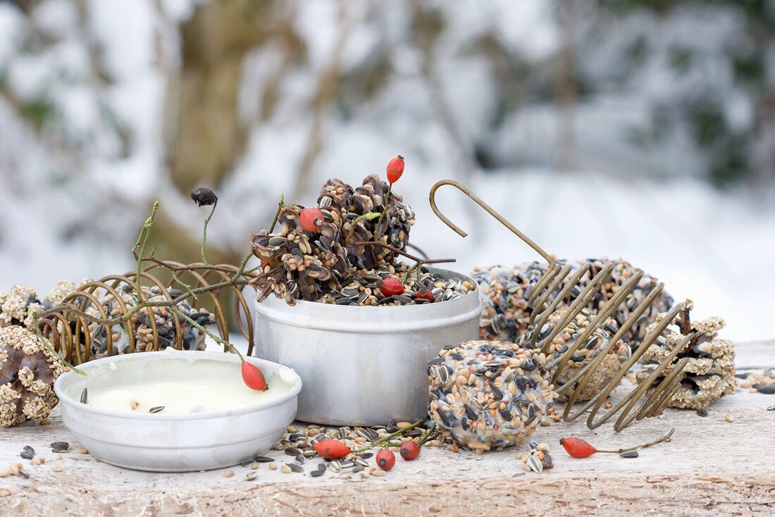 Vogelfutter, Palmfett und Hagebutten