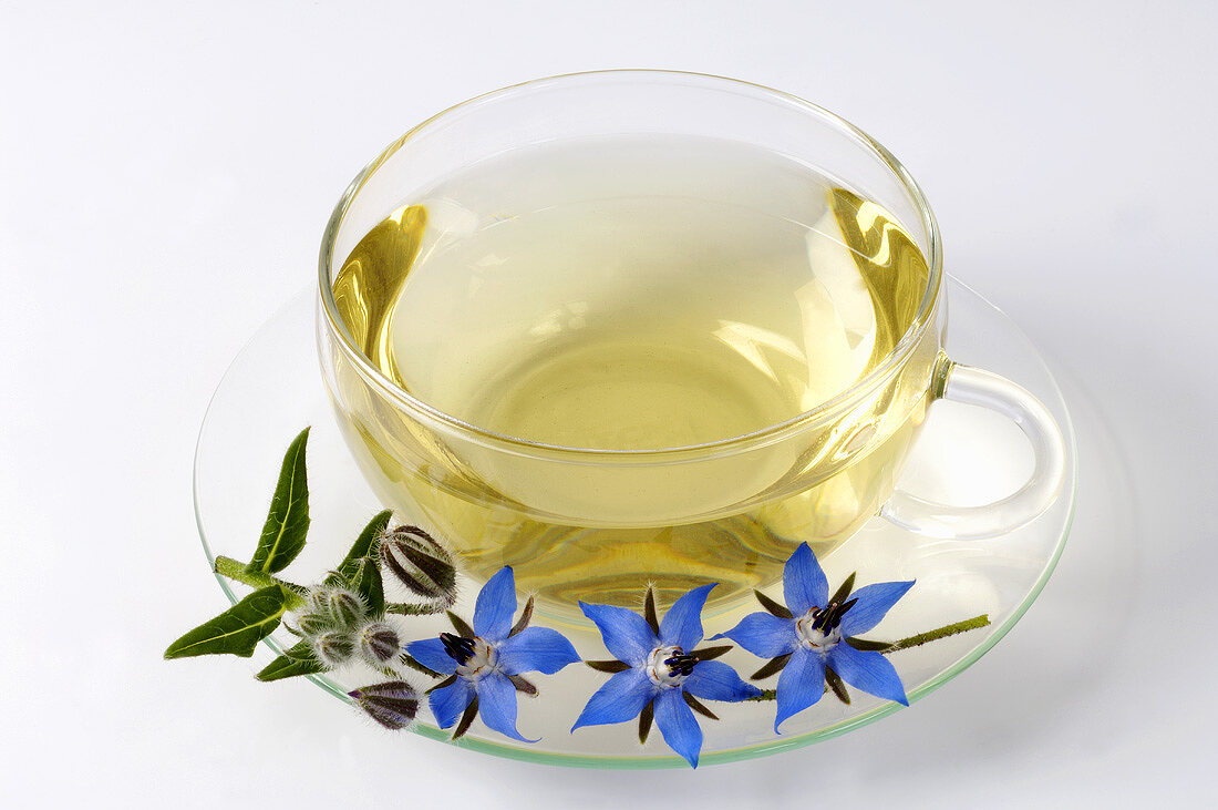 A cup of borage tea and fresh flowers