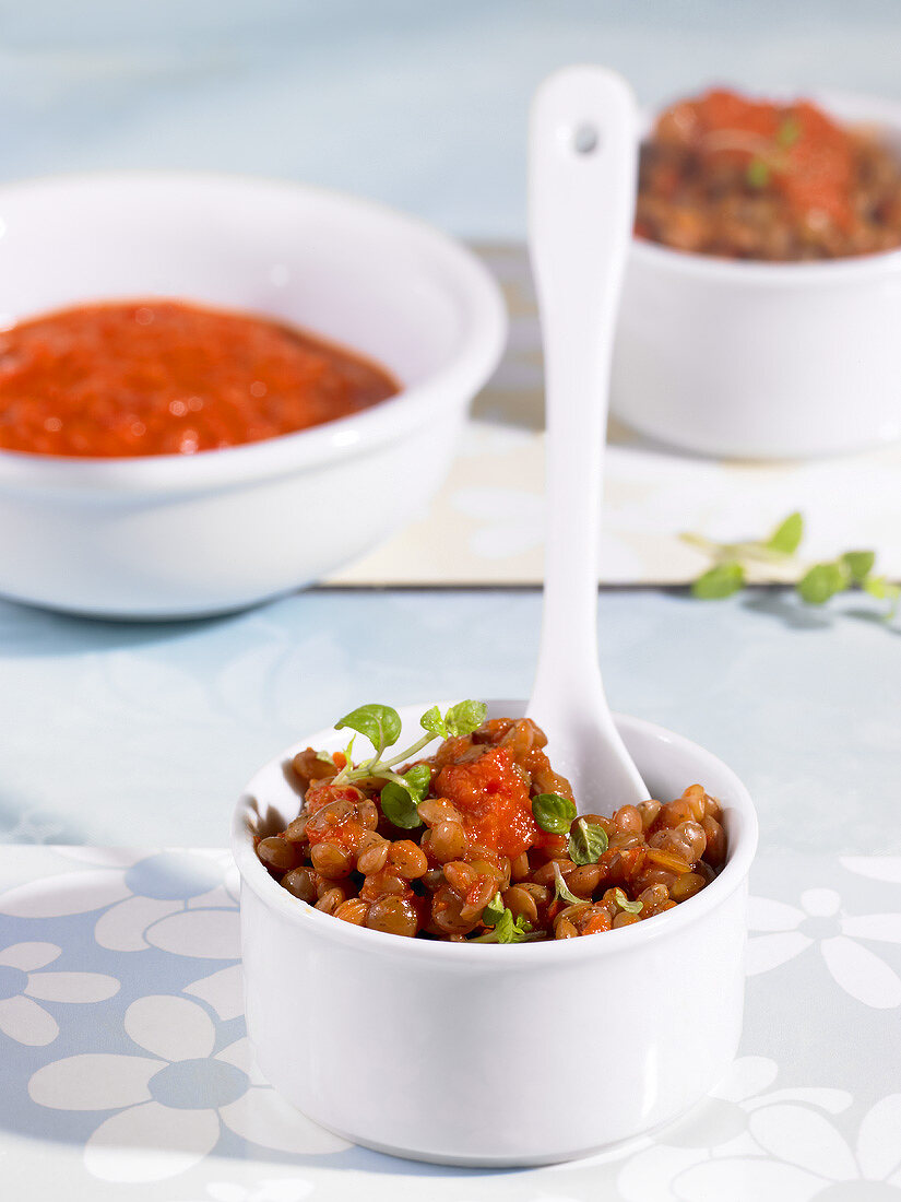 Pardina lentils with tomato sauce and herbs