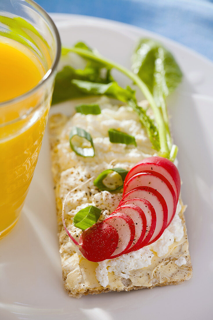 Knäckebrot mit Quark und Radieschen