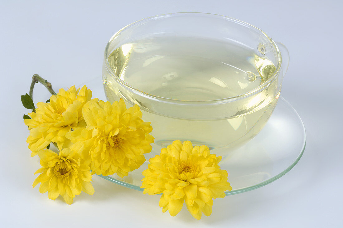 Chrysanthemums & chrysanthemum tea (cooling & refreshing)
