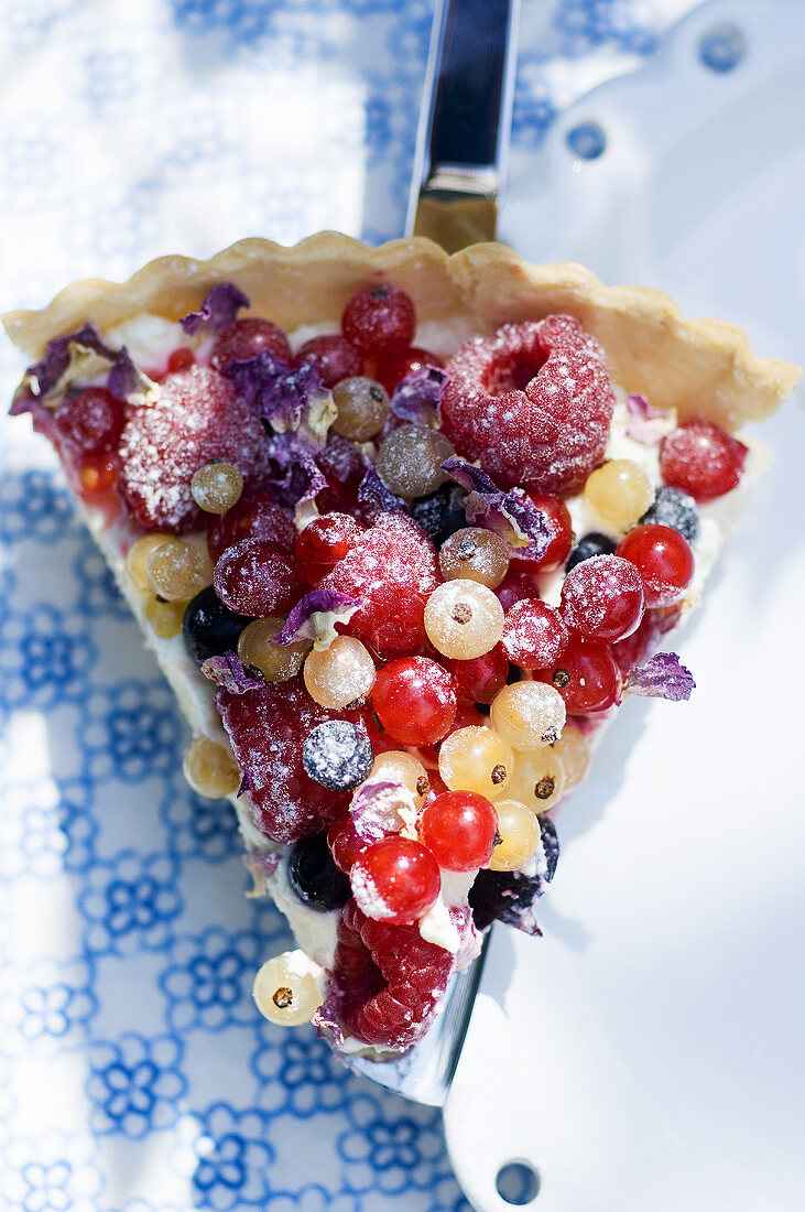 Ein Stück Tarte mit Vanillecreme und Beeren