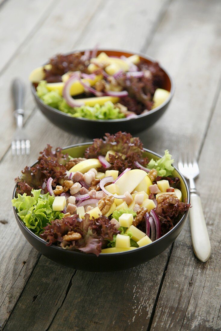 Cheese and bacon salad