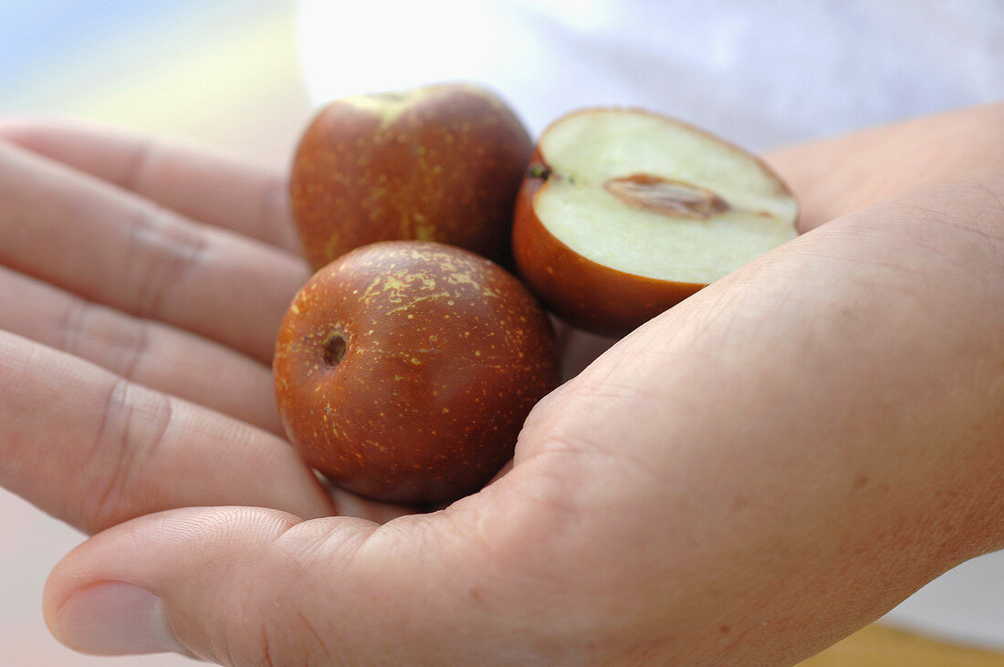 Hand hält chinesische Pflaumen