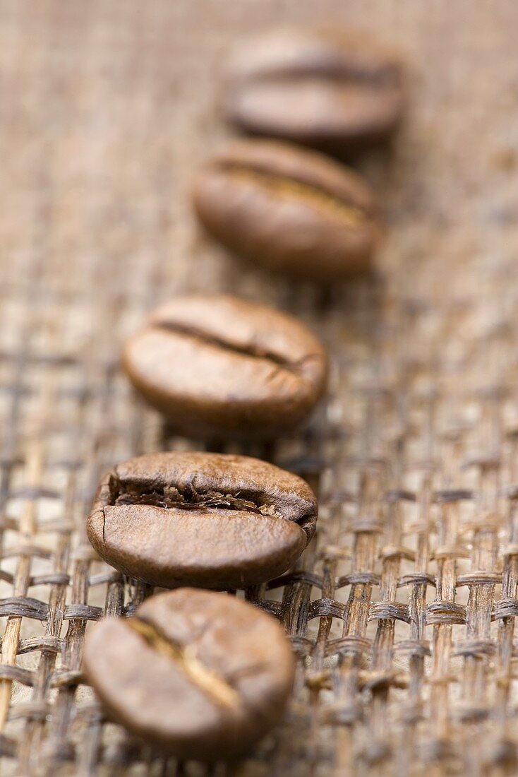 Five coffee beans (close-up)