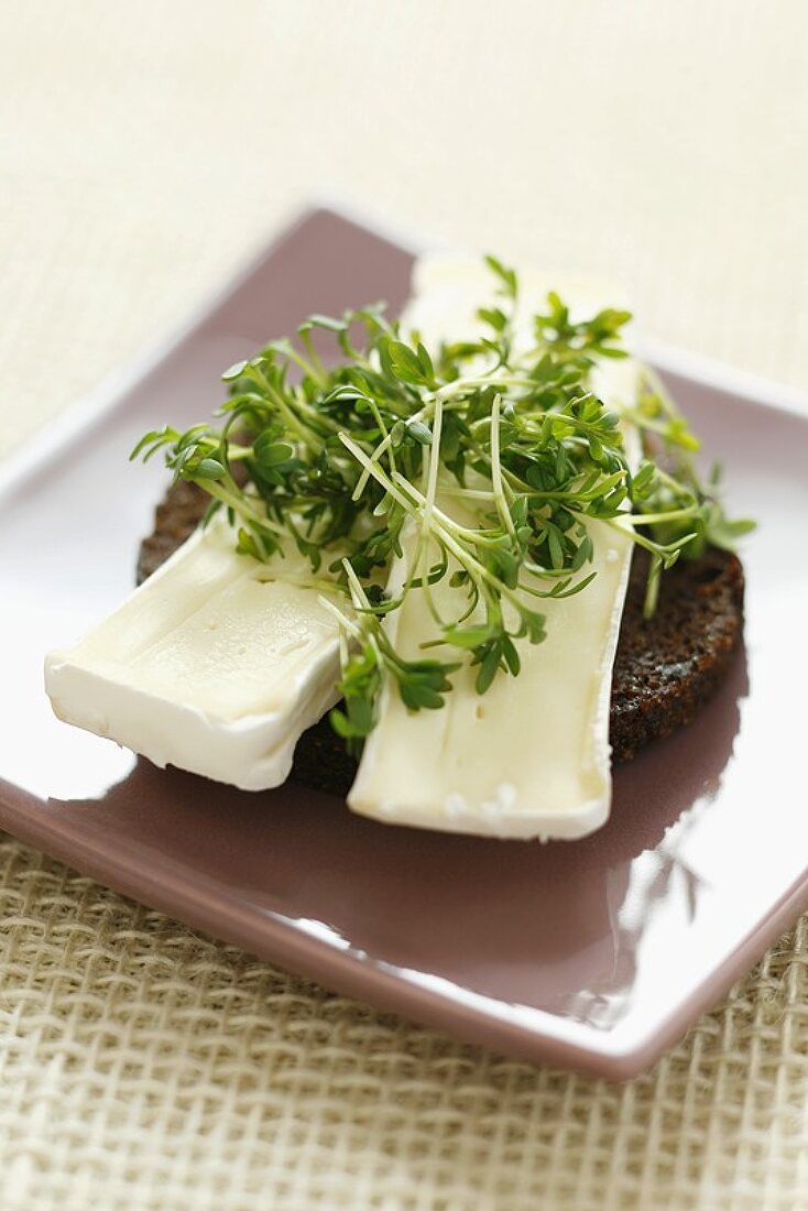 Camembert and cress on pumpernickel