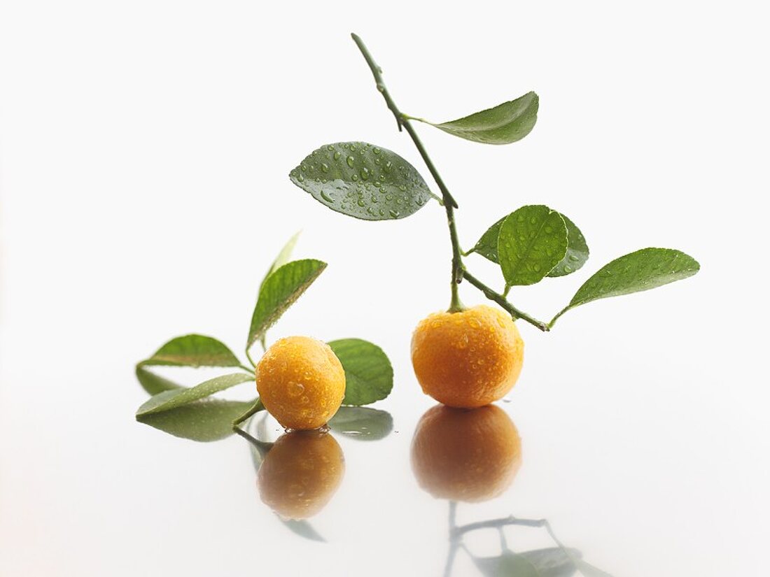 Mandarin oranges with leaves