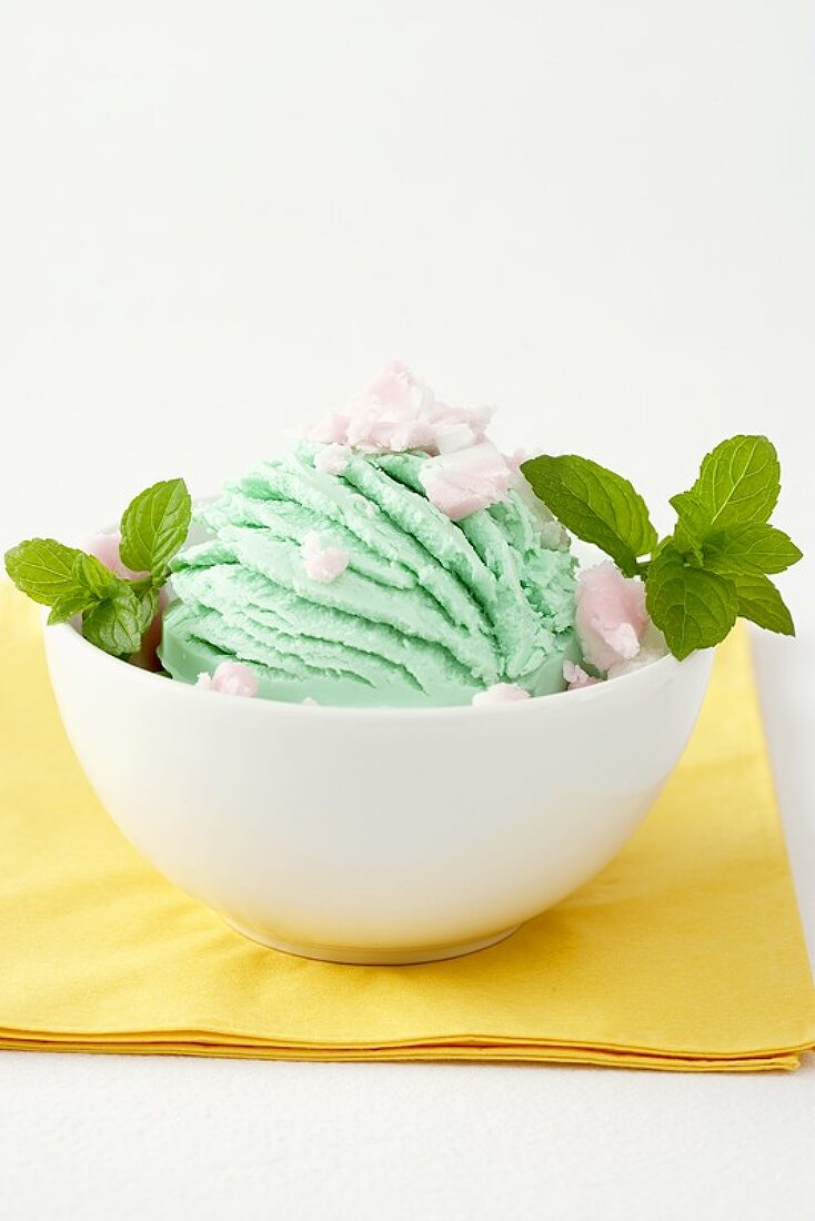 Peppermint ice cream in a small bowl