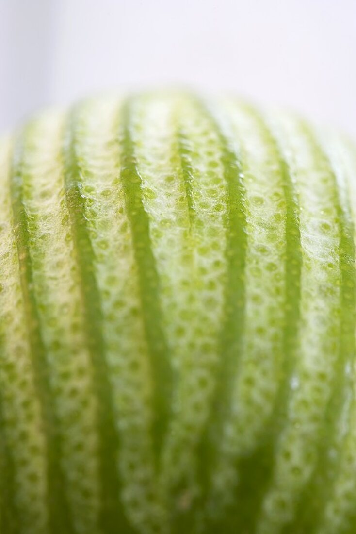 A lime with strips of zest removed (close-up)
