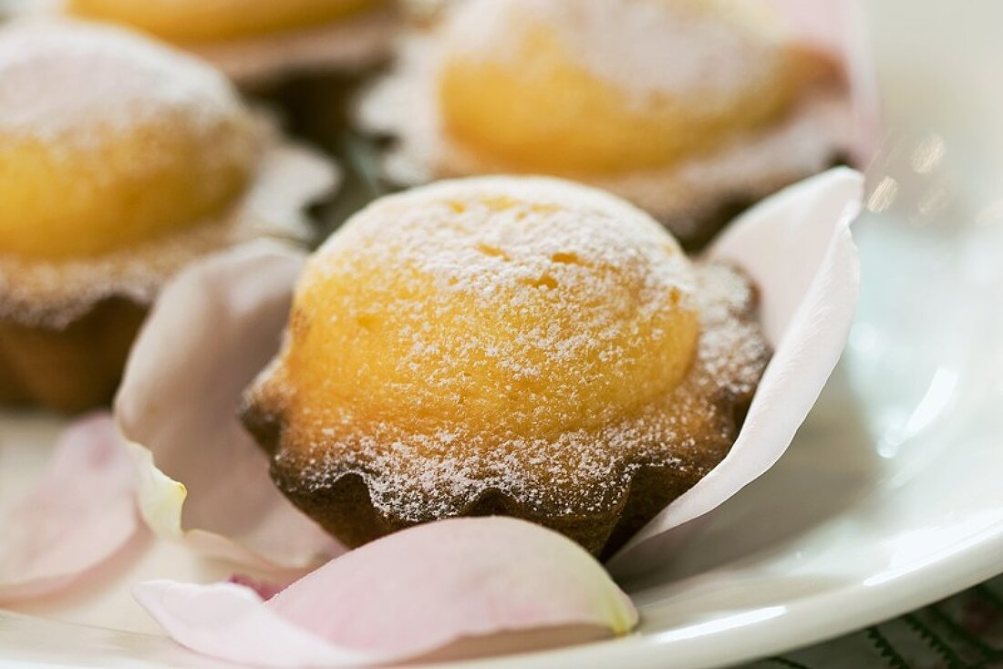 Madeleines auf Rosenblättern (Nahaufnahme)