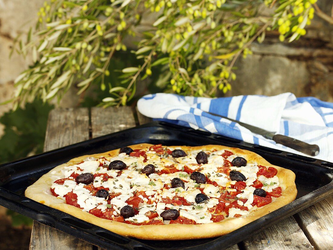 Greek pizza with olives and sheep's cheese