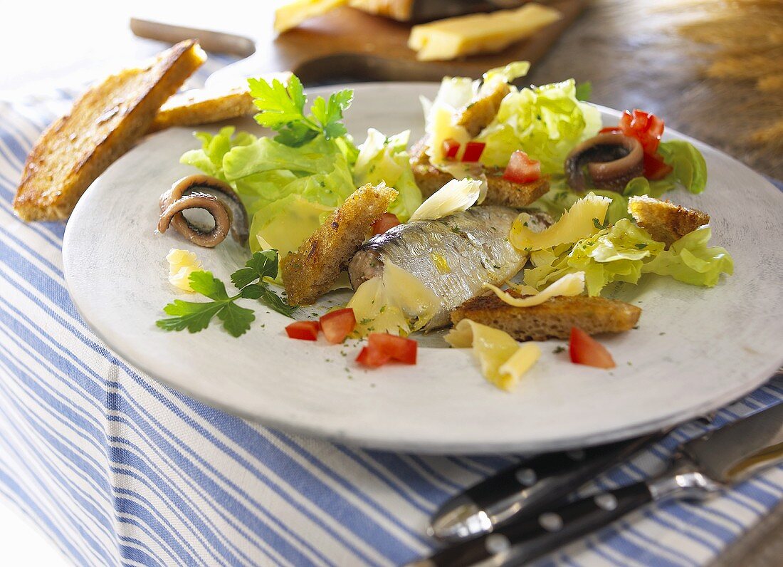 Fischsalat mit Croûtons und gehobeltem Käse