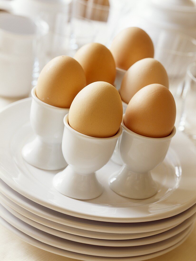 Braune Frühstückseier in Eierbechern