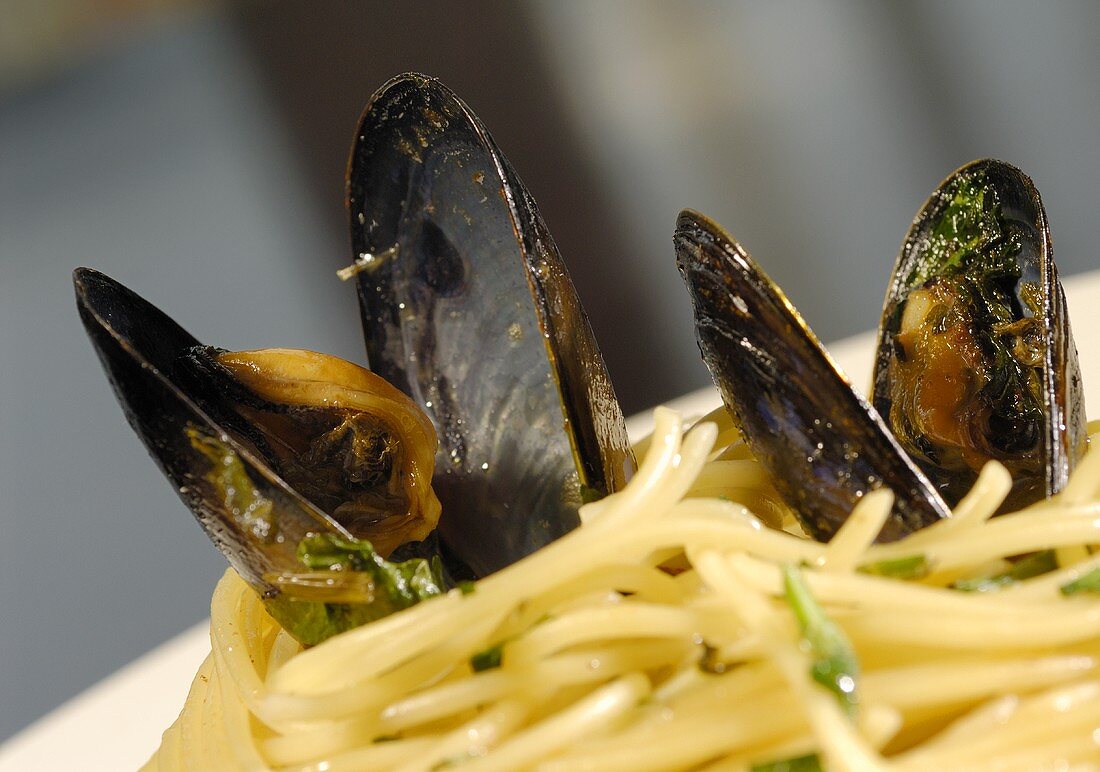 Spaghetti Vongole