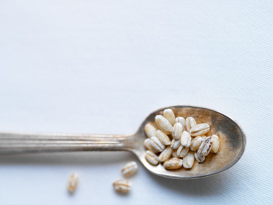 Oat grains in a silver spoon