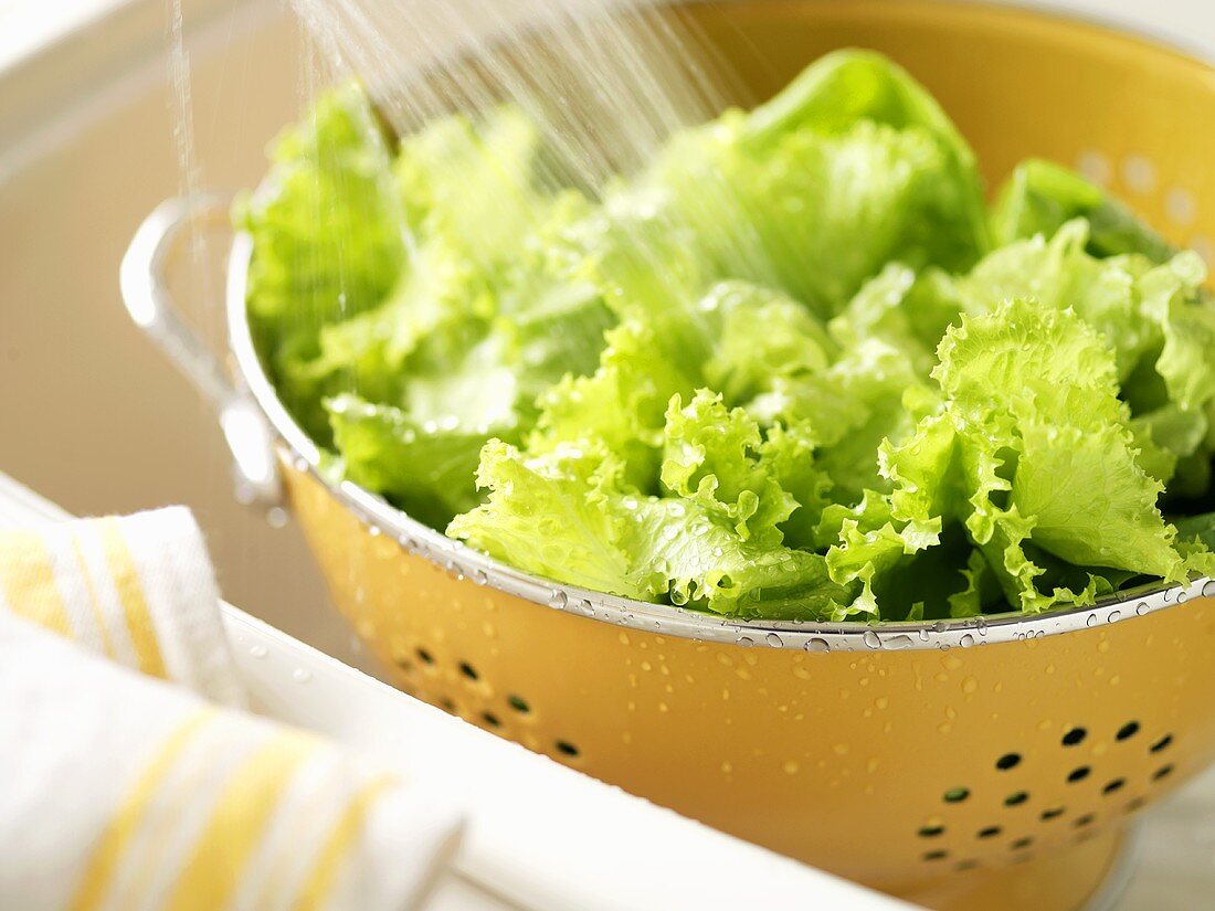 Washing lettuce