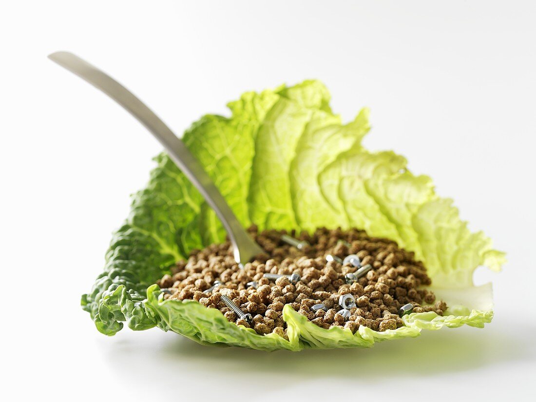 Cereal and screws in savoy cabbage leaf
