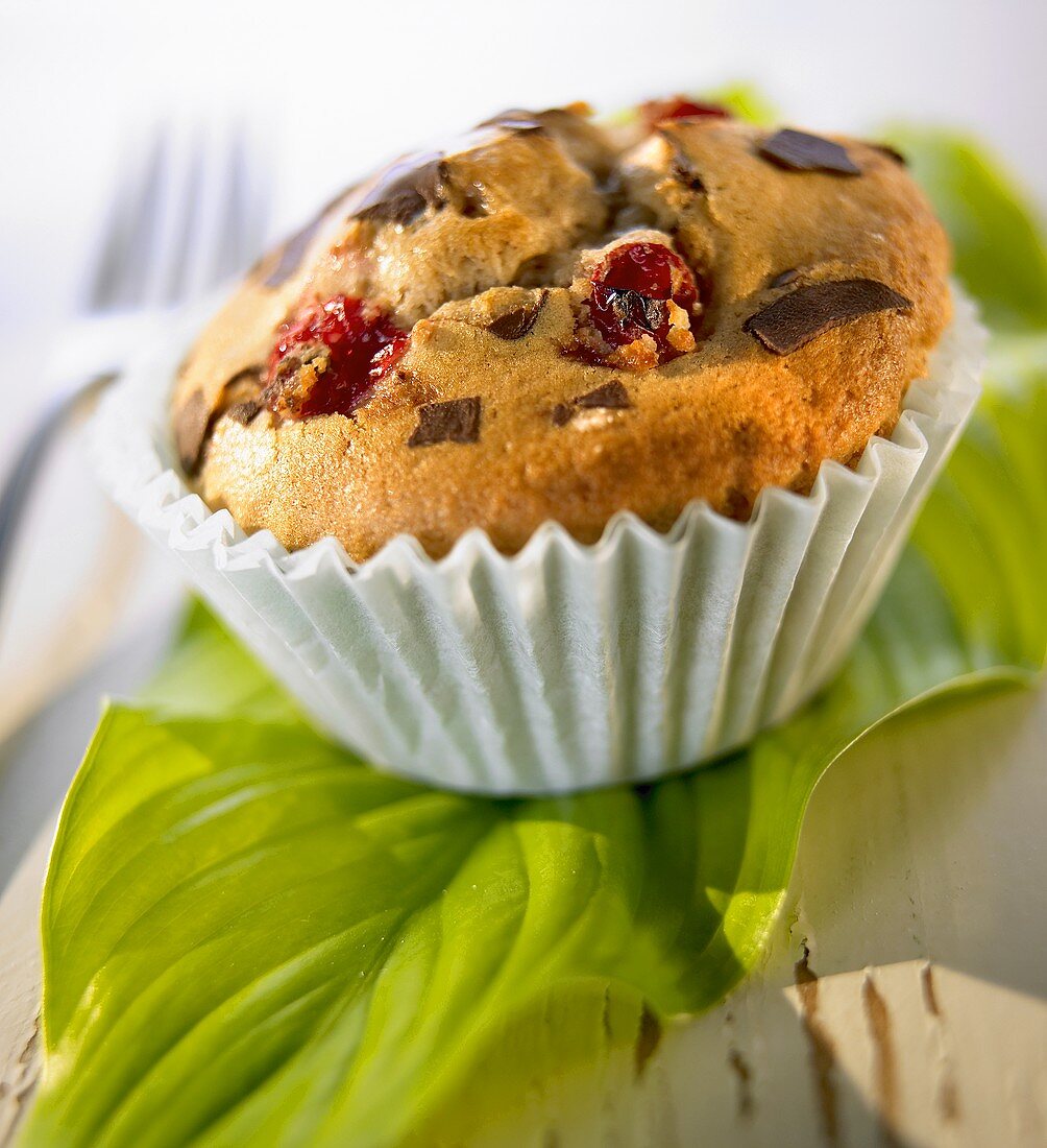 Cranberry muffins