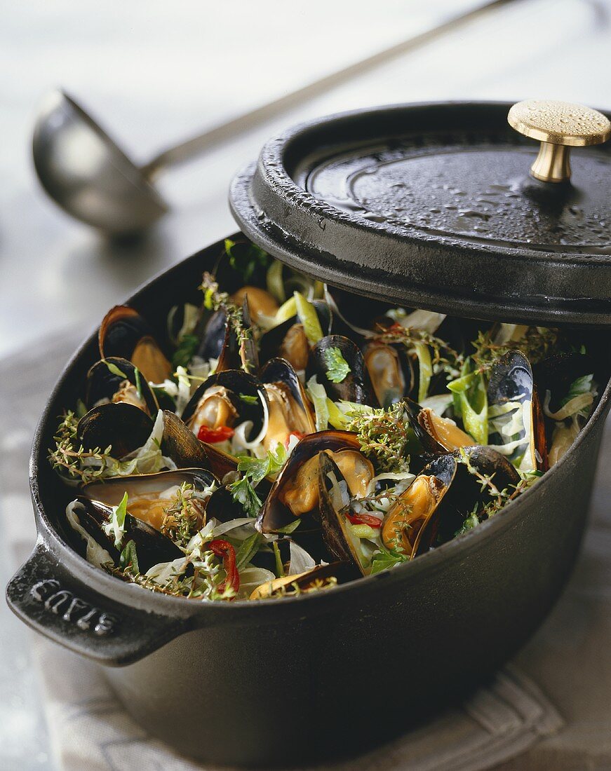 Mussels with herbs in a pot