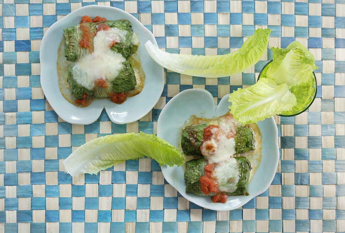 Lettuce cannelloni with ricotta & spinach filling & mozzarella